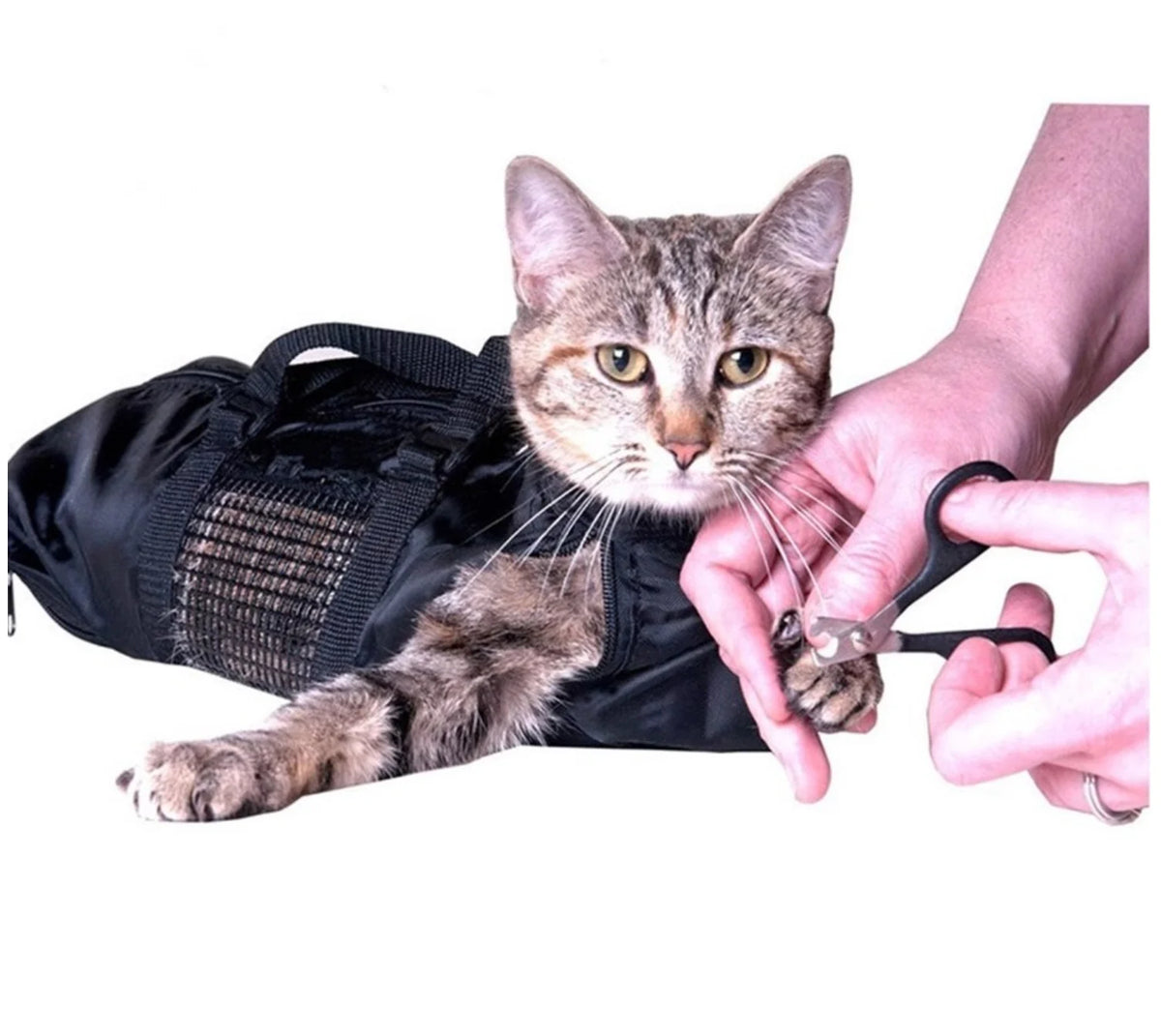 Sac de toilettage pour chat (et petit chien !)