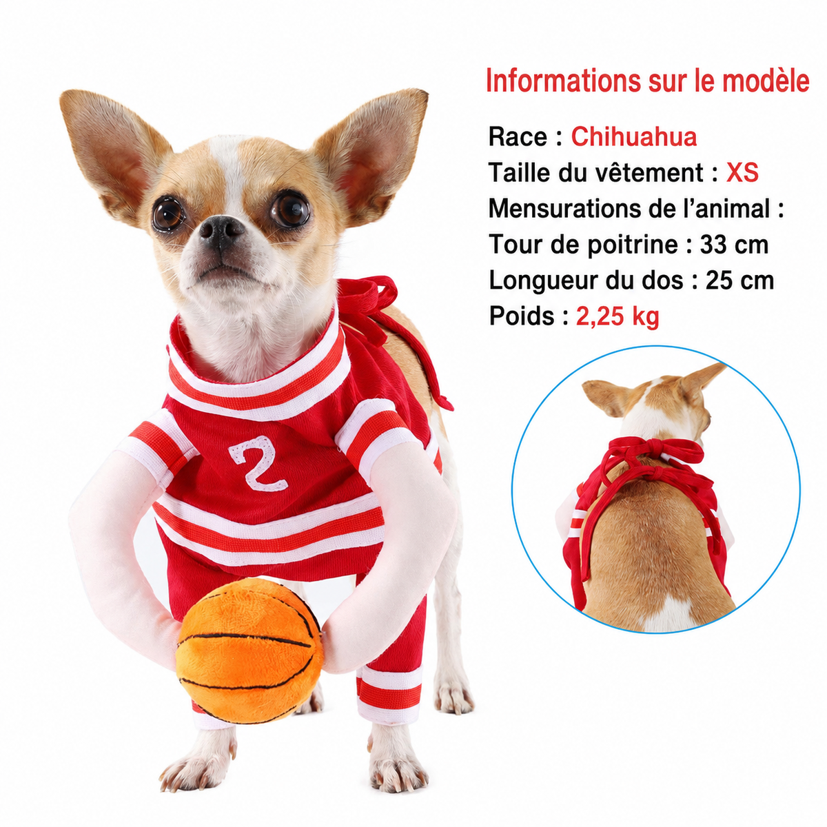 Costume de basket pour chien