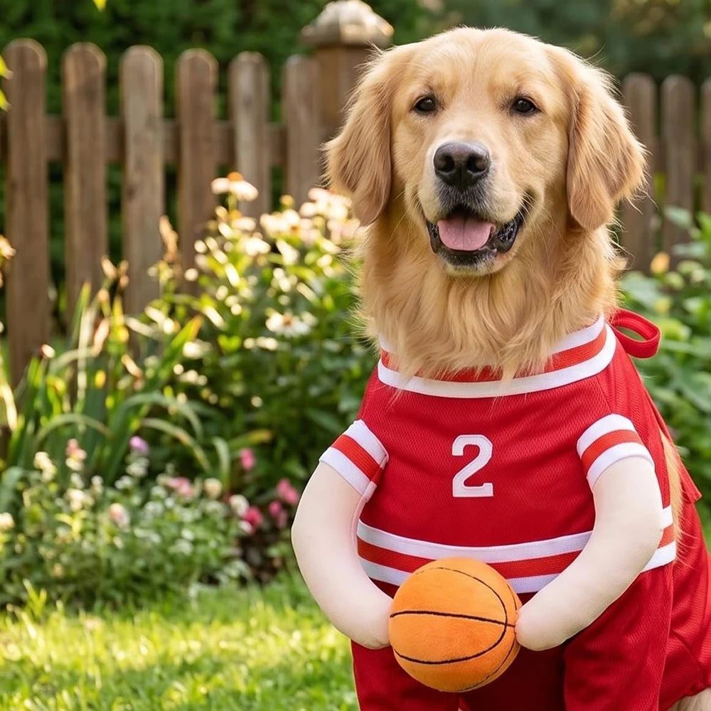 Costume de basket pour chien